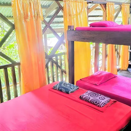 Paraiso Ayahuasca Hotel & Tours Puerto Narino Room photo