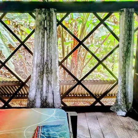 Paraiso Ayahuasca Hotel & Tours Puerto Narino Exterior photo