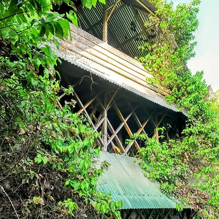 Paraiso Ayahuasca Hotel & Tours Puerto Narino Exterior photo