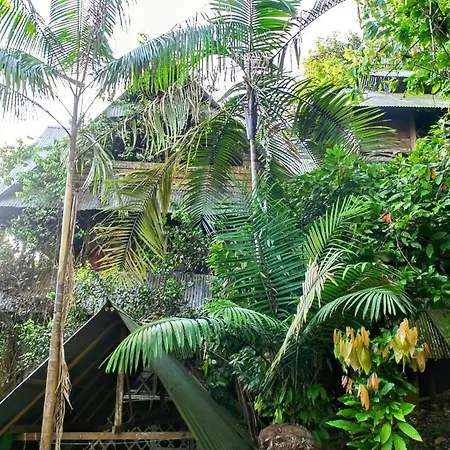 Paraiso Ayahuasca Hotel & Tours Puerto Narino Exterior photo