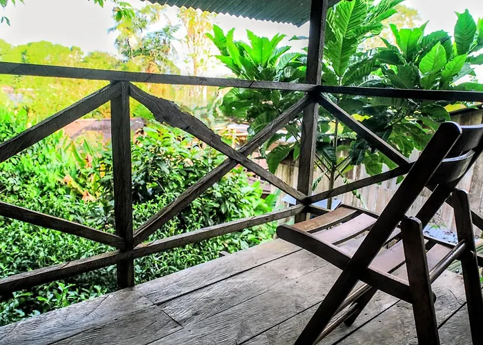 Paraiso Ayahuasca Hotel & Tours