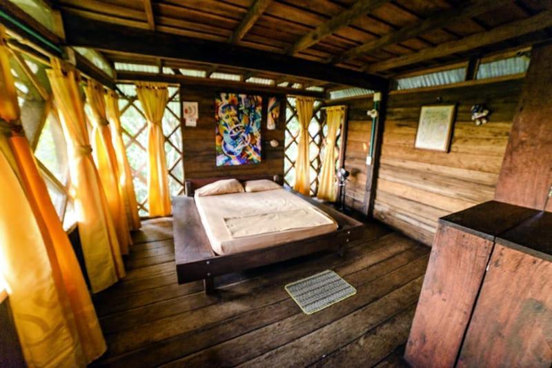 Paraiso Ayahuasca & Tours * Puerto Nariño