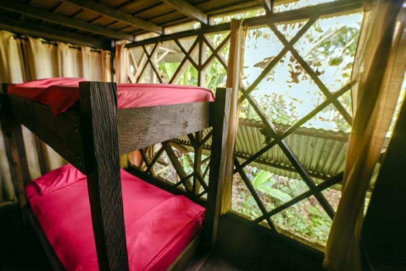 Paraiso Ayahuasca & Tours Hostal
