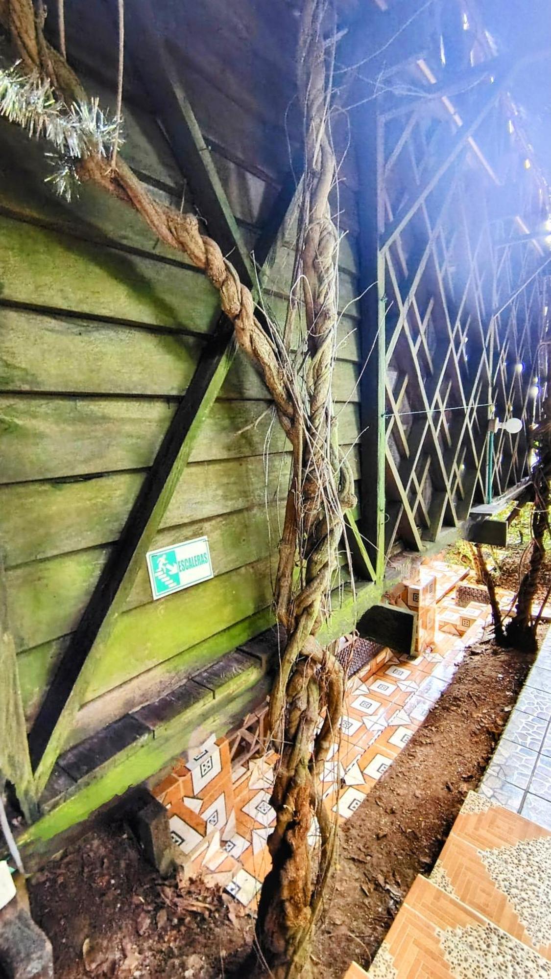 Hostal Paraiso Ayahuasca & Tours *