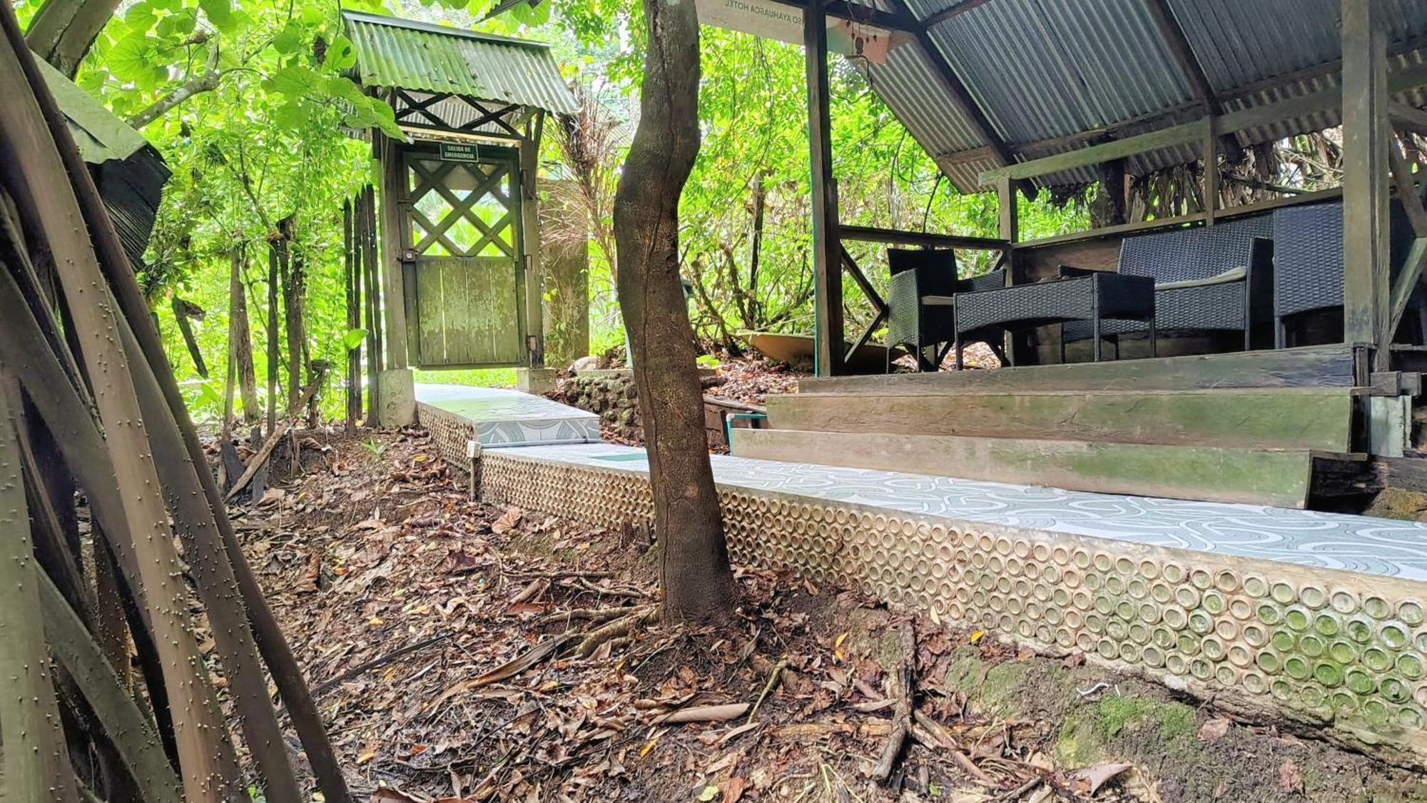 Hostal Paraiso Ayahuasca & Tours Puerto Nariño