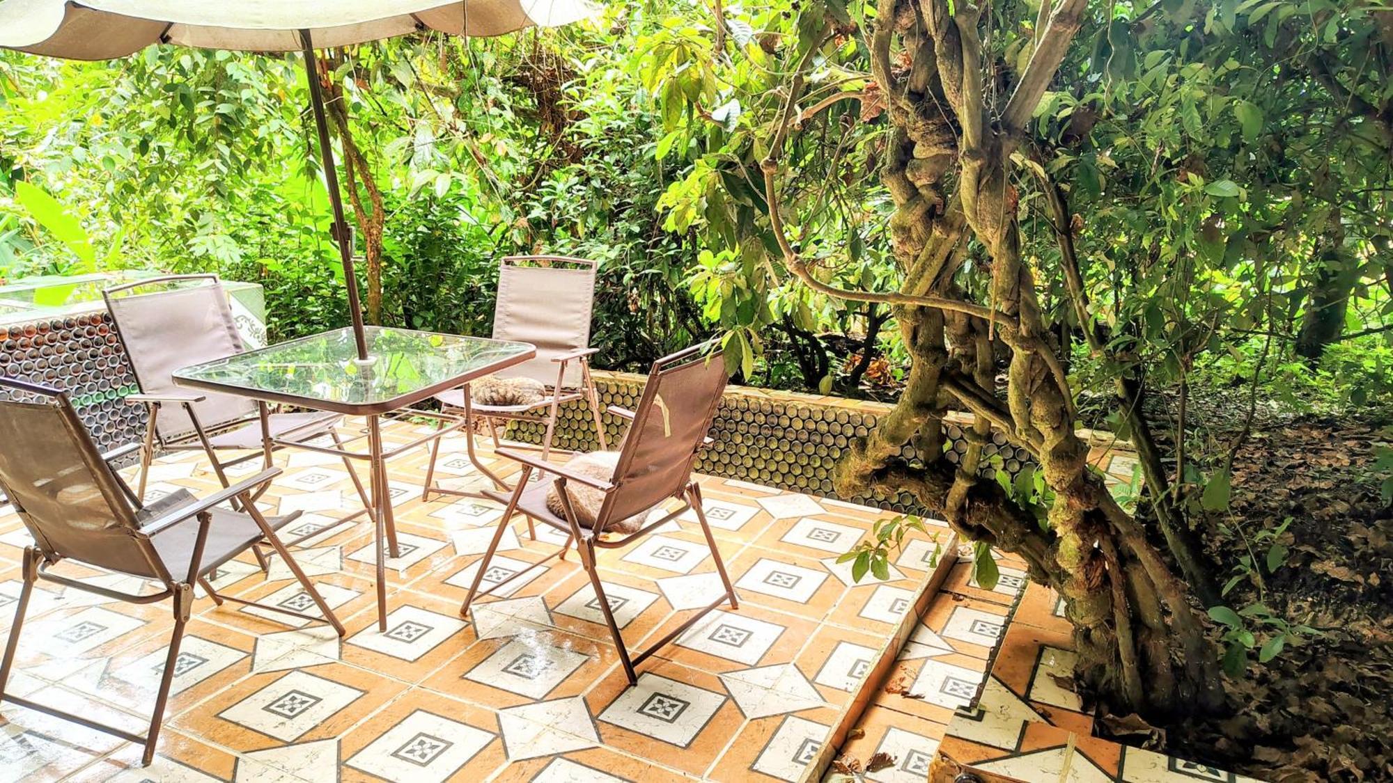 Hostal Paraiso Ayahuasca & Tours