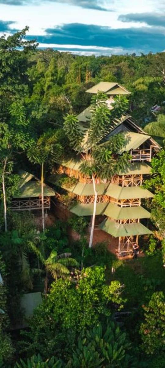 Hostal Paraiso Ayahuasca & Tours *