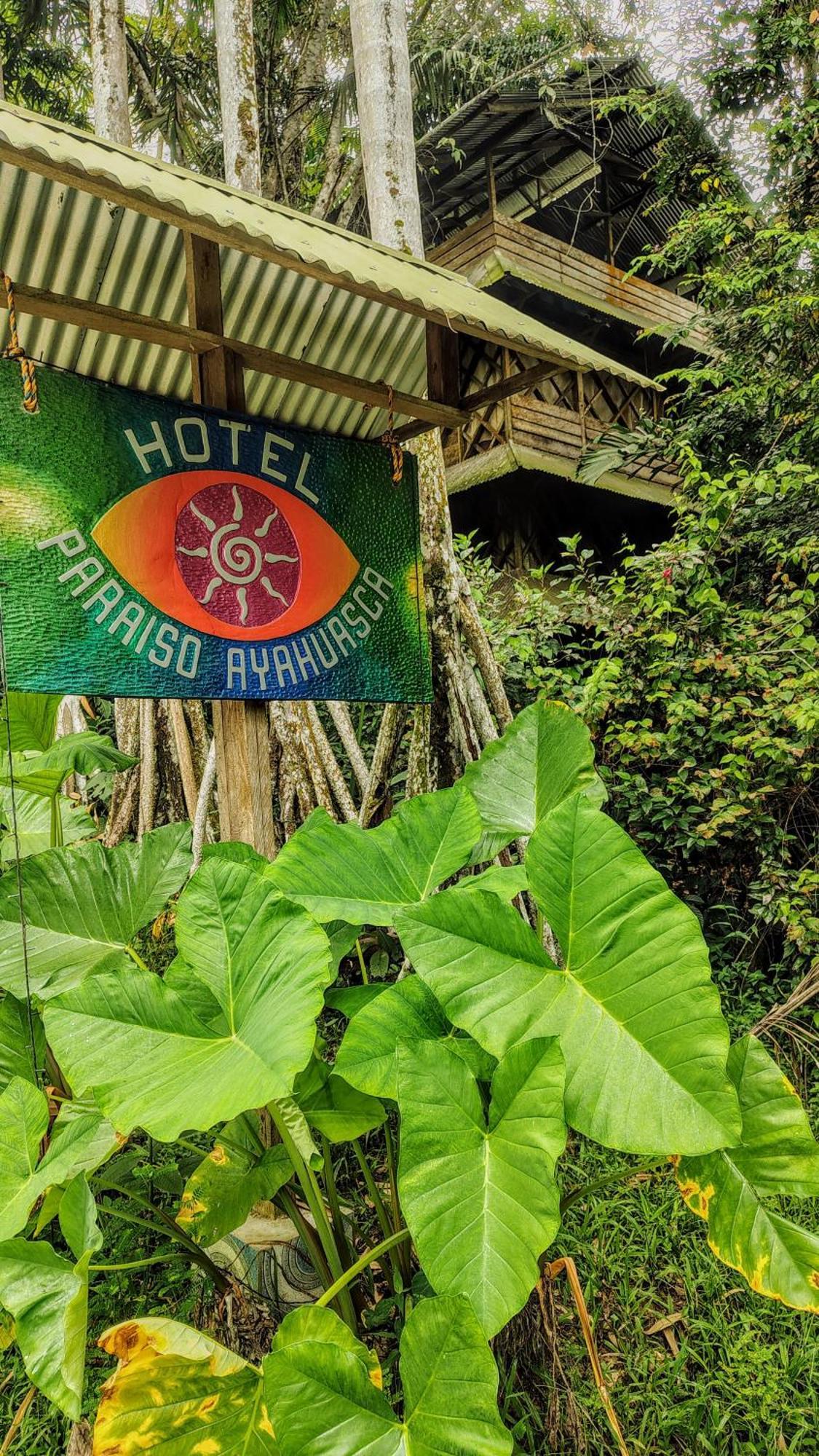 Paraiso Ayahuasca & Tours *