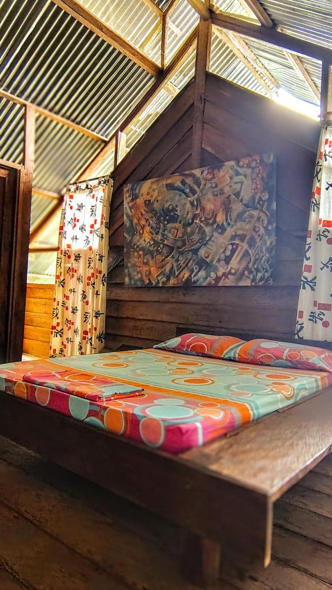 Hostal Paraiso Ayahuasca & Tours