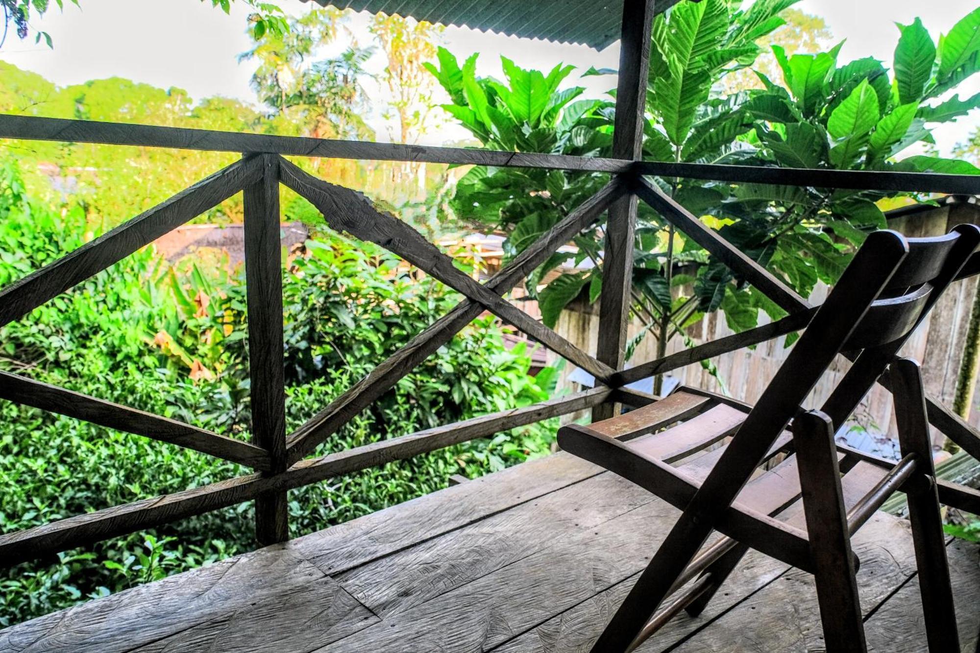 Paraiso Ayahuasca & Tours Hostal