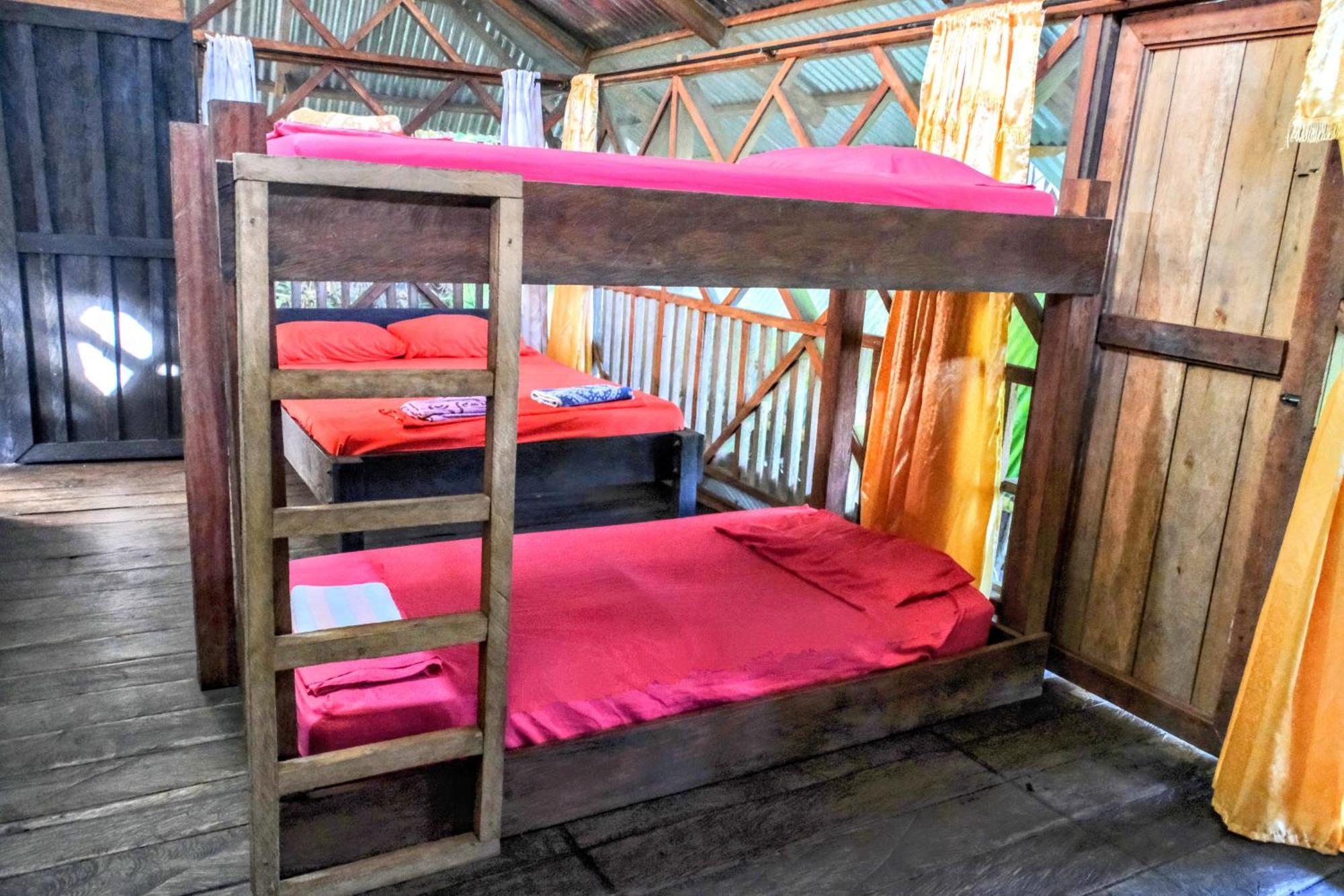 Hostal Paraiso Ayahuasca & Tours *