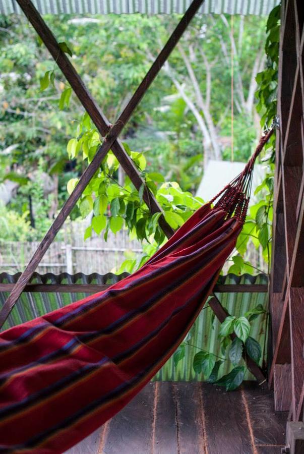 Paraiso Ayahuasca & Tours *
