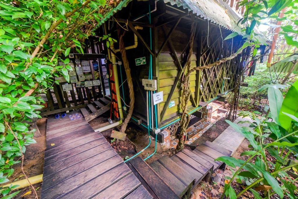 Paraiso Ayahuasca & Tours Hostal *